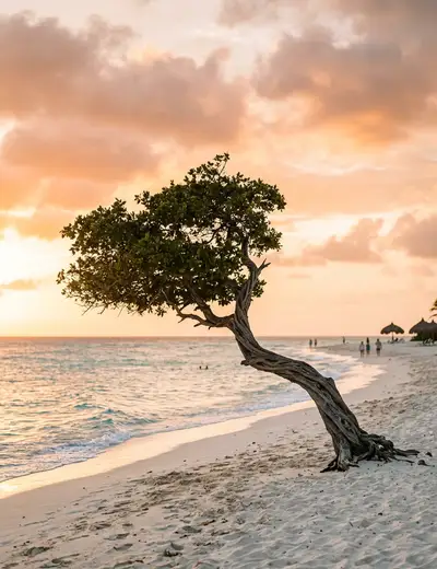 Aruba