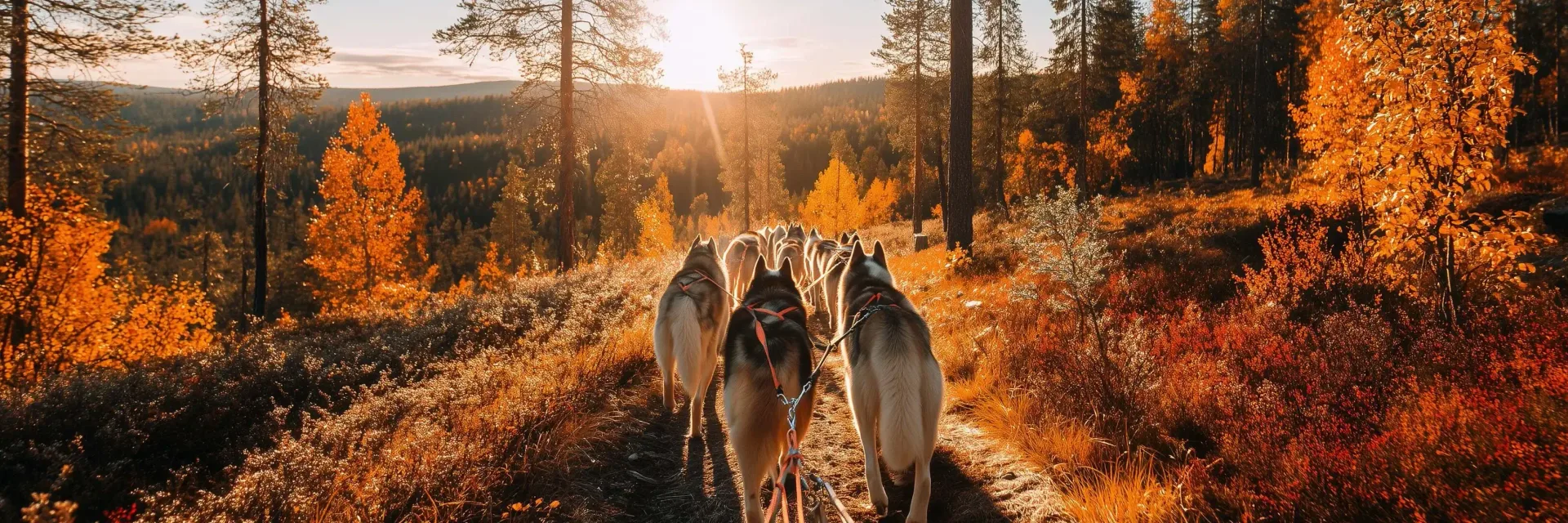 Best Finland eSIM for Travelers